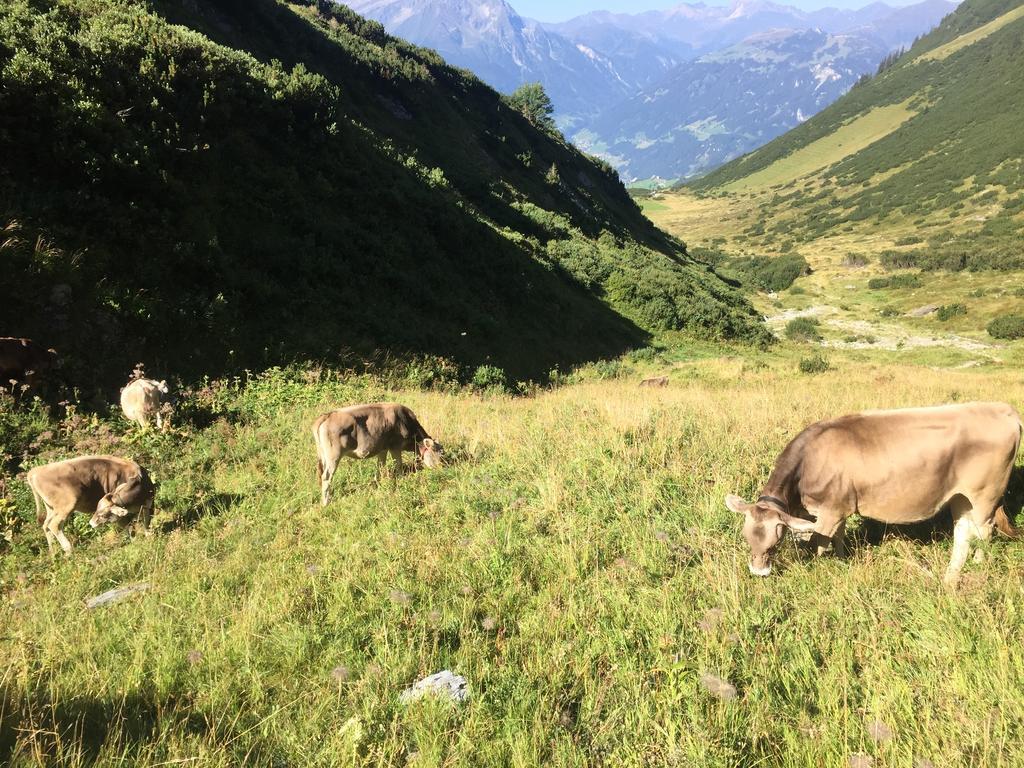 Appartement Kuen Zell am Ziller Szoba fotó